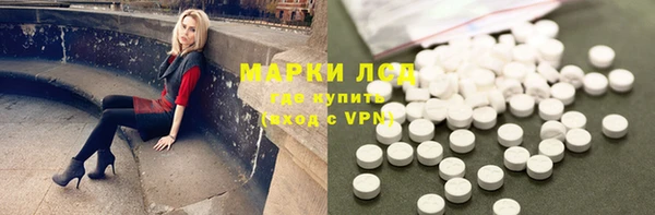 a pvp Алзамай