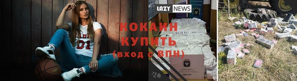 a pvp Алзамай