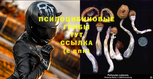 скорость Алексин