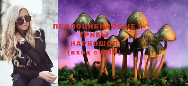 скорость Алексин