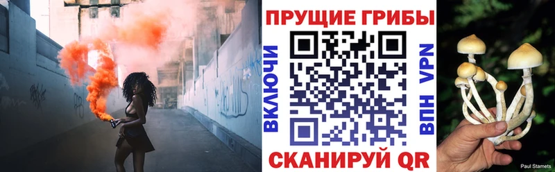 Галлюциногенные грибы GOLDEN TEACHER  Купить где  Сурск 